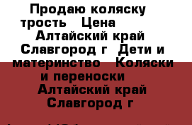 Продаю коляску - трость › Цена ­ 1 800 - Алтайский край, Славгород г. Дети и материнство » Коляски и переноски   . Алтайский край,Славгород г.